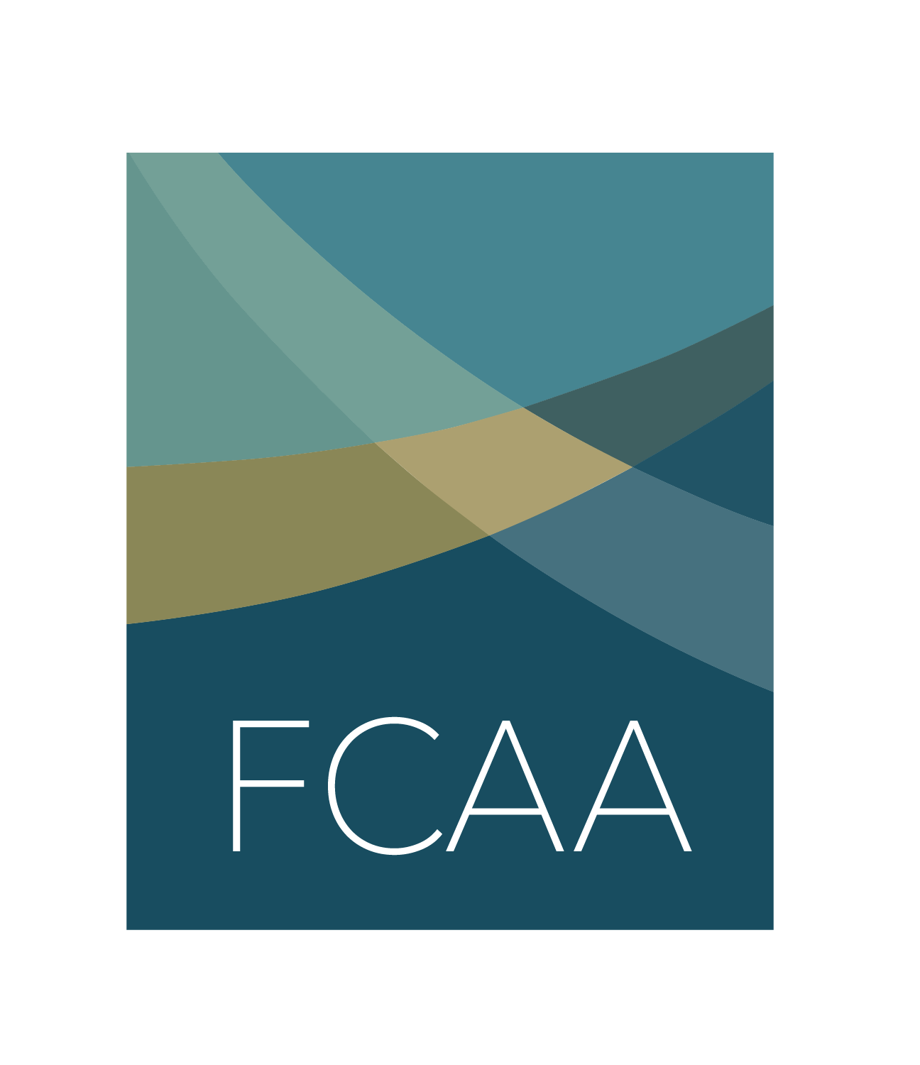 Funders Concerned About AIDS Inc