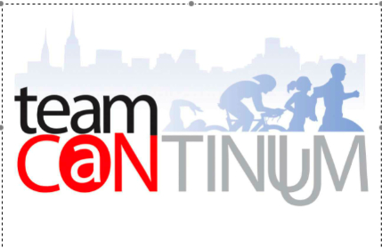 TEAM CONTINUUM INC