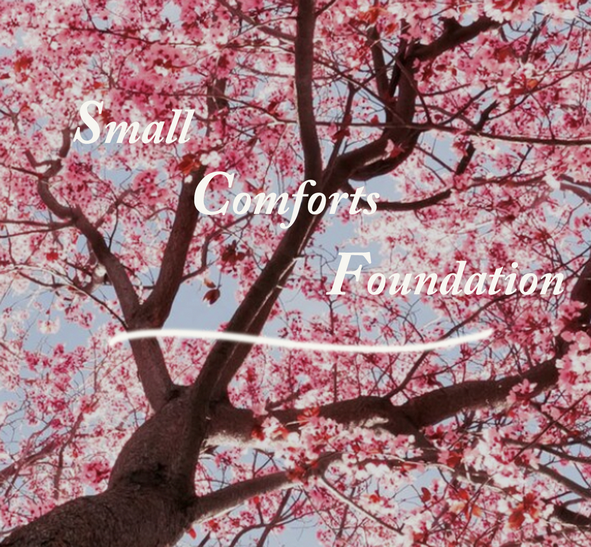 Small Comforts Foundation Ltd