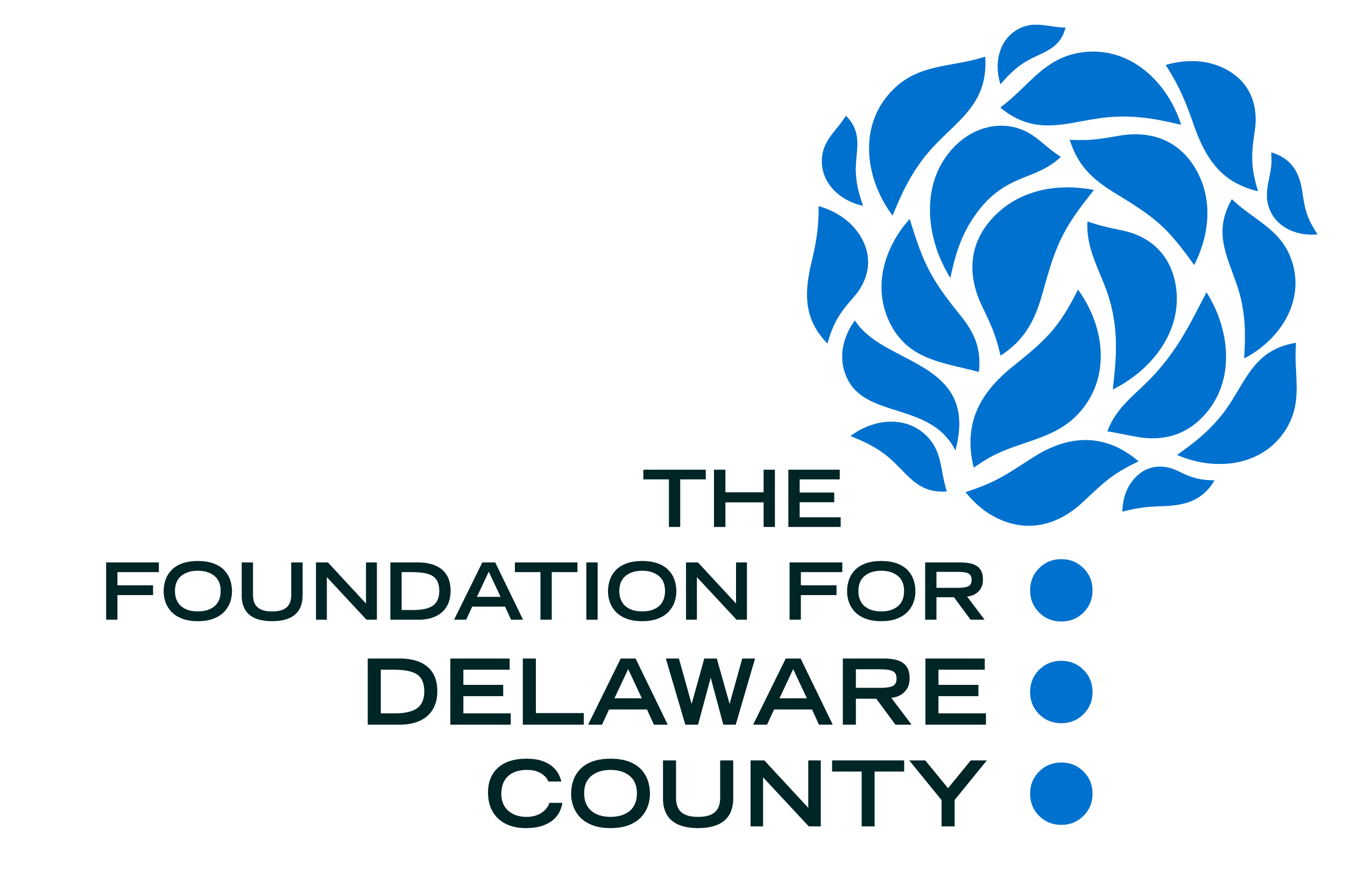 THE FOUNDATION FOR DELAWARE COUNTY