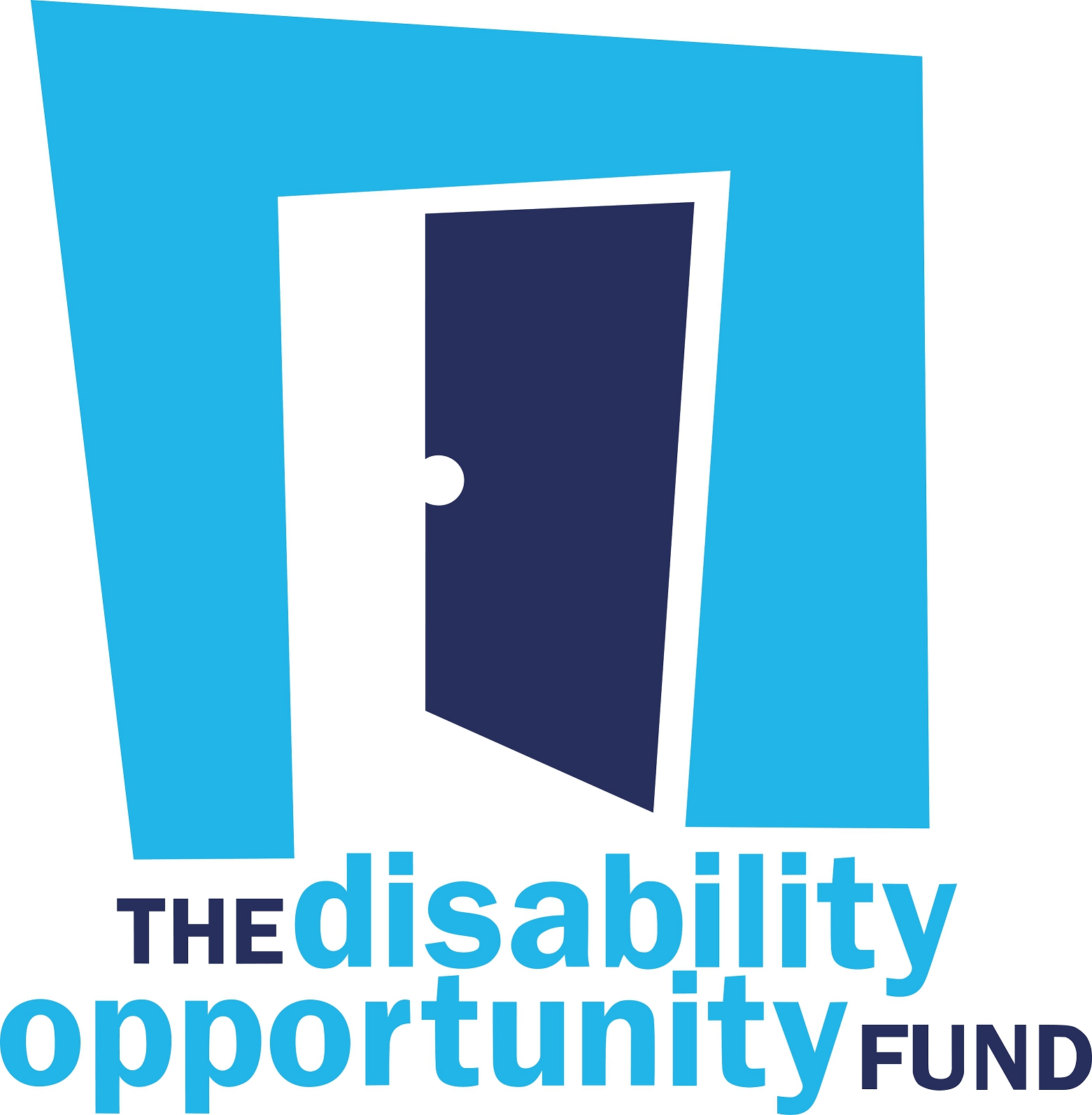 DISABILITY FUND INC