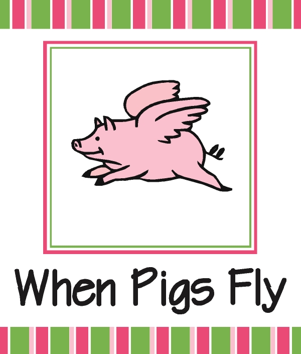 PIGGYBACK FOUNDATION LLC