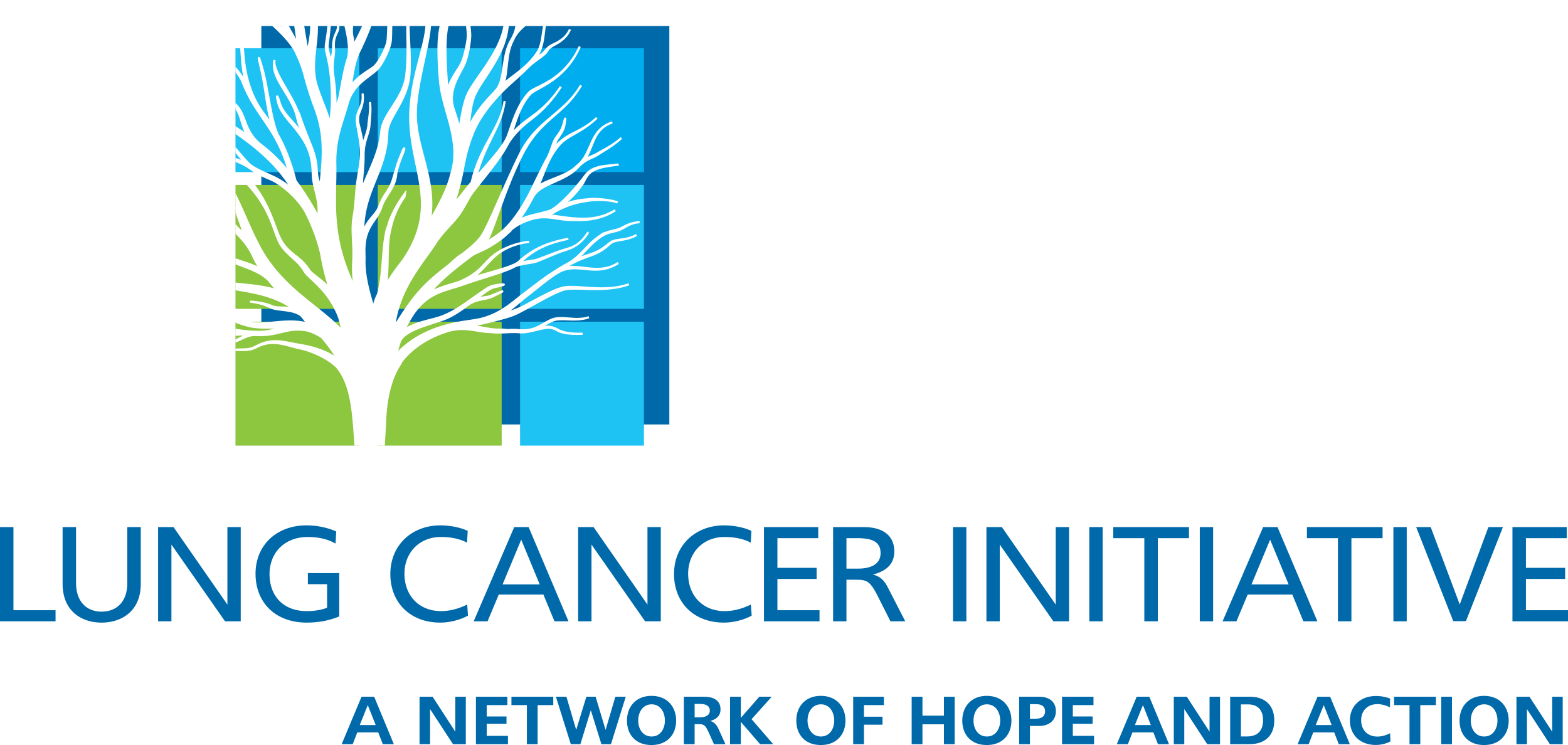 Lung Cancer Initiative