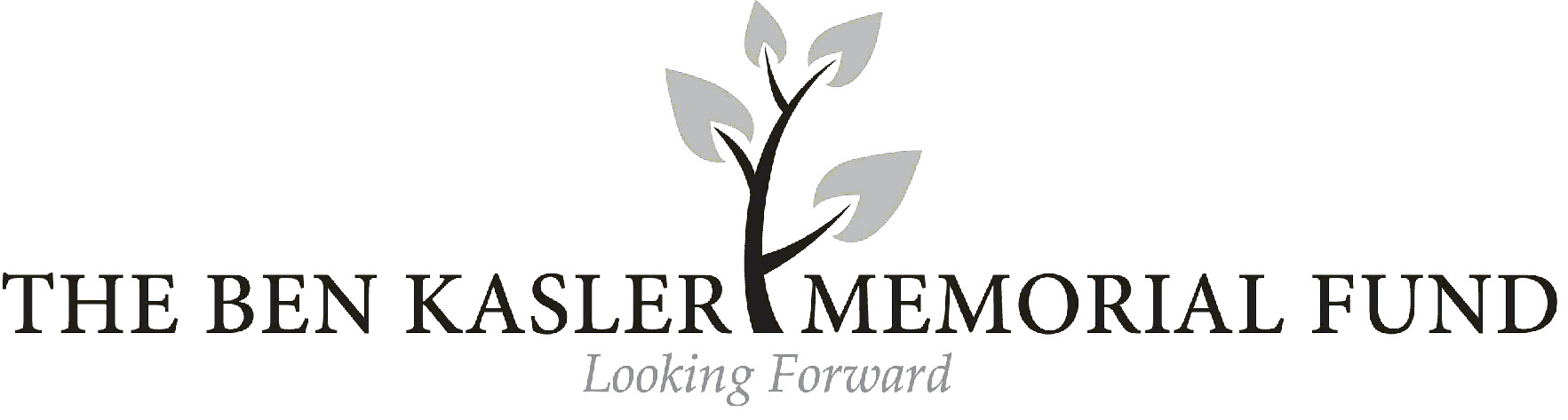 BEN KASLER MEMORIAL FUND INC