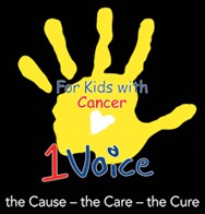 1VOICE FOUNDATION INC