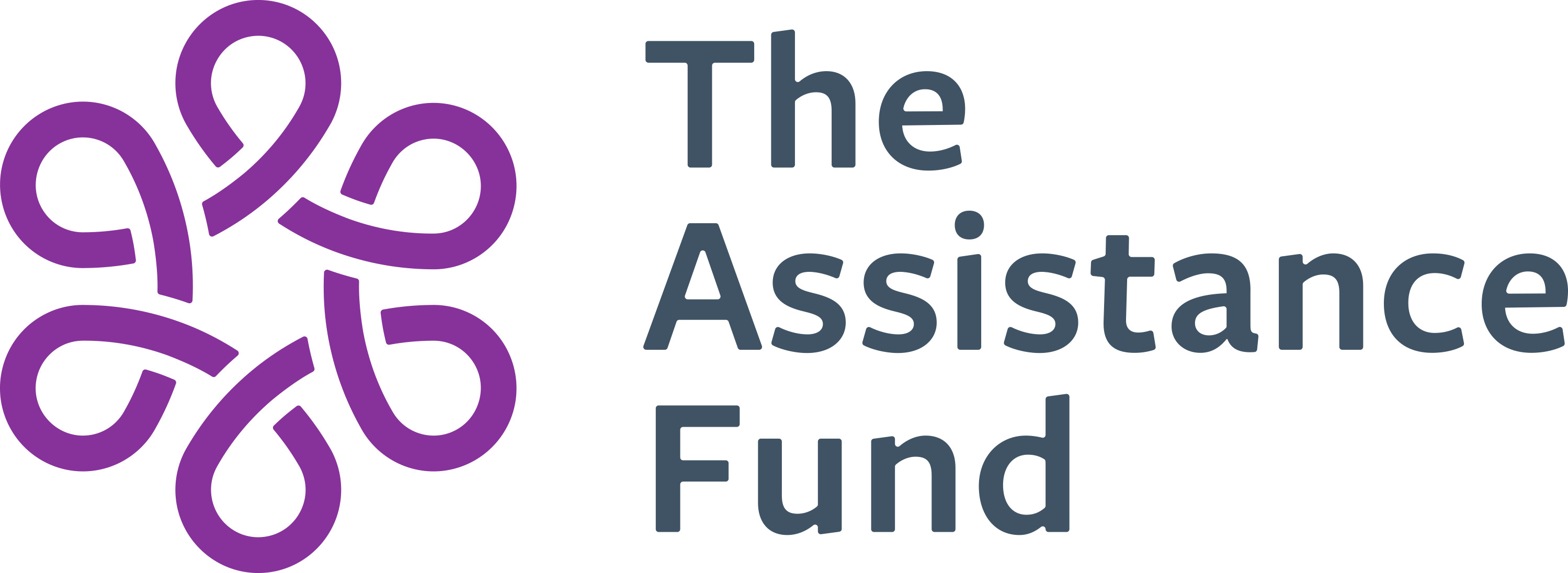 ASSISTANCE FUND INC