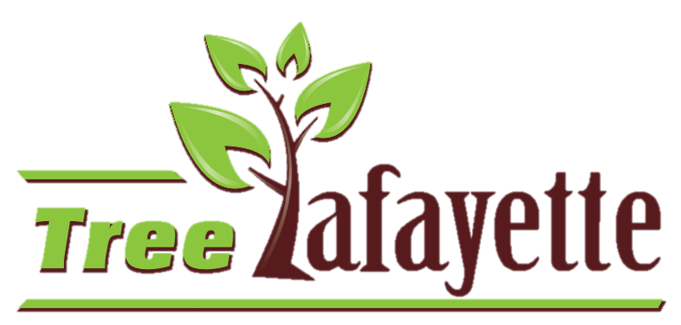 Lafayette Tree Fund Inc.