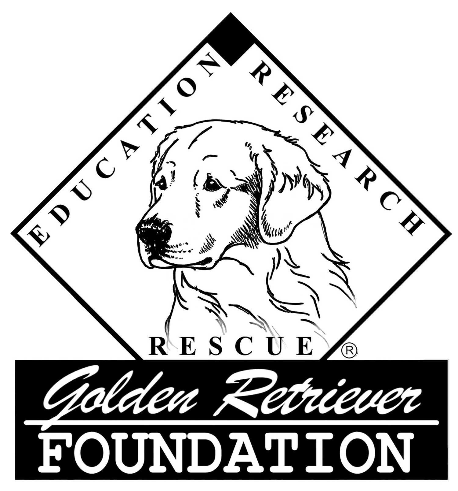 GOLDEN RETRIEVER FOUNDATION