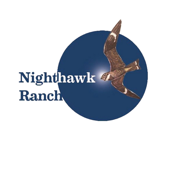 NIGHTHAWK RANCH INC