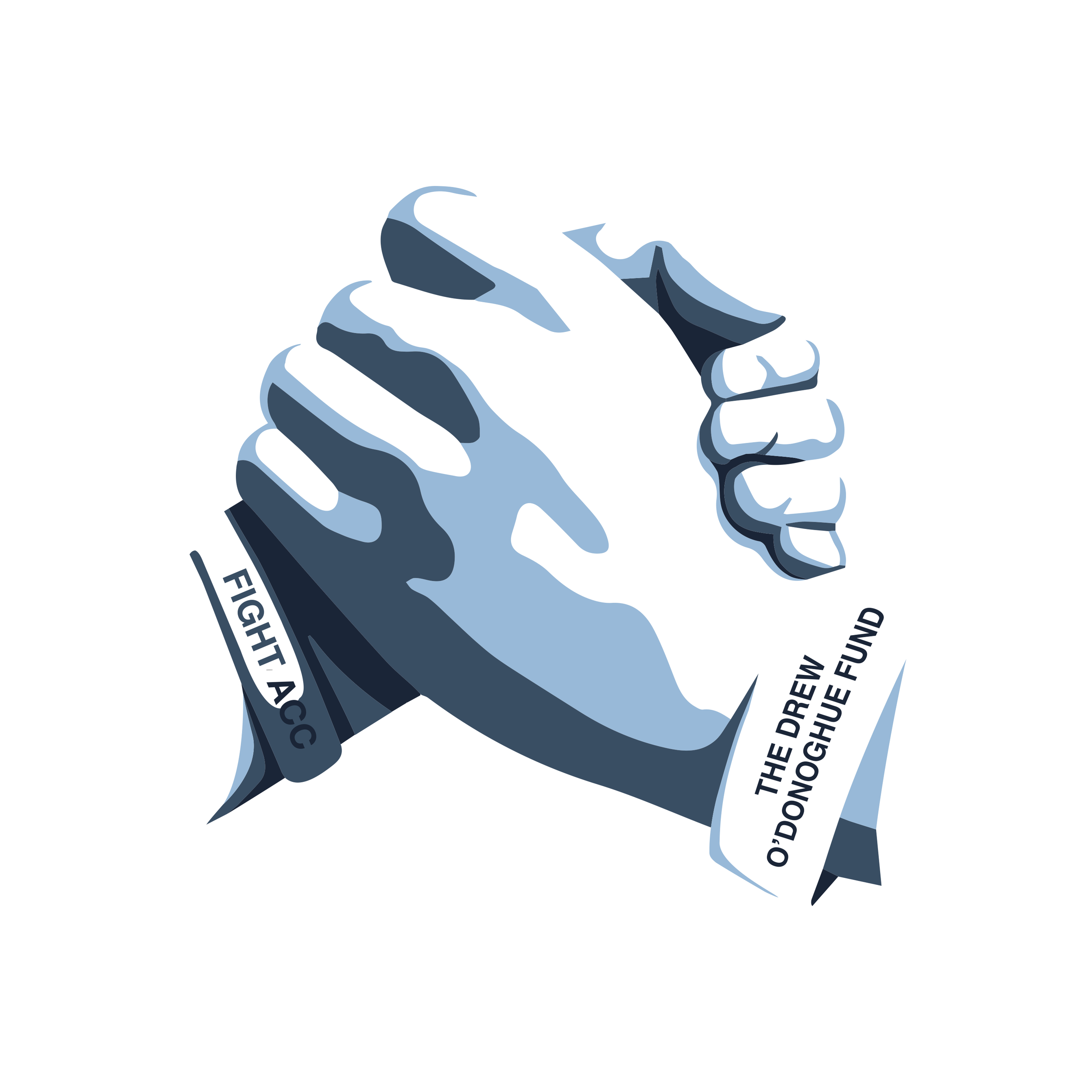 The Drew O'Donoghue Fund, Inc.