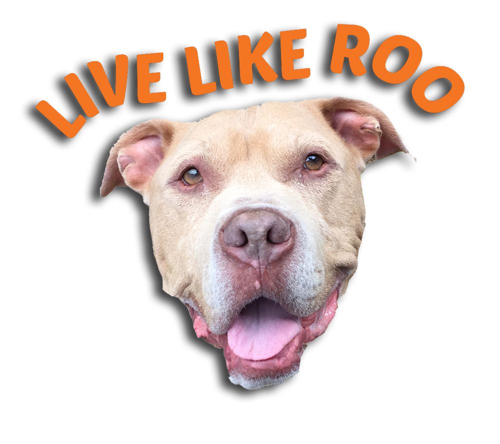 Live Like Roo Foundation