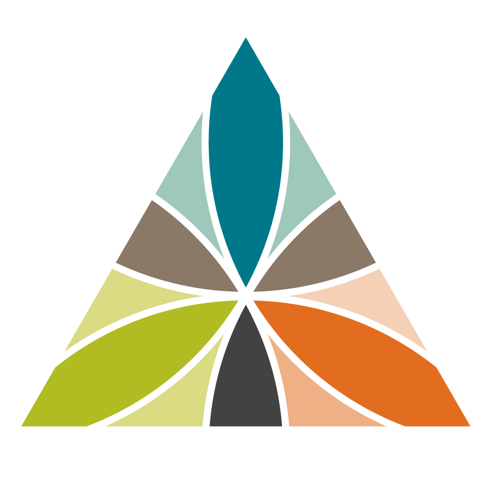 Triangle Community Foundation