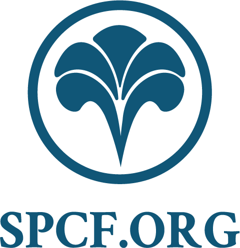 SPARTANBURG COUNTY FOUNDATION