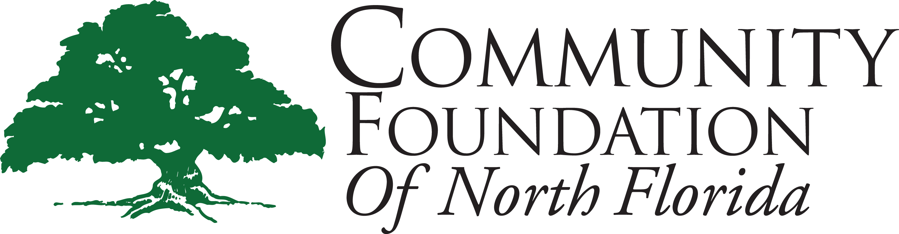 COMMUNITY FOUNDATION OF NORTH FLORIDA INC