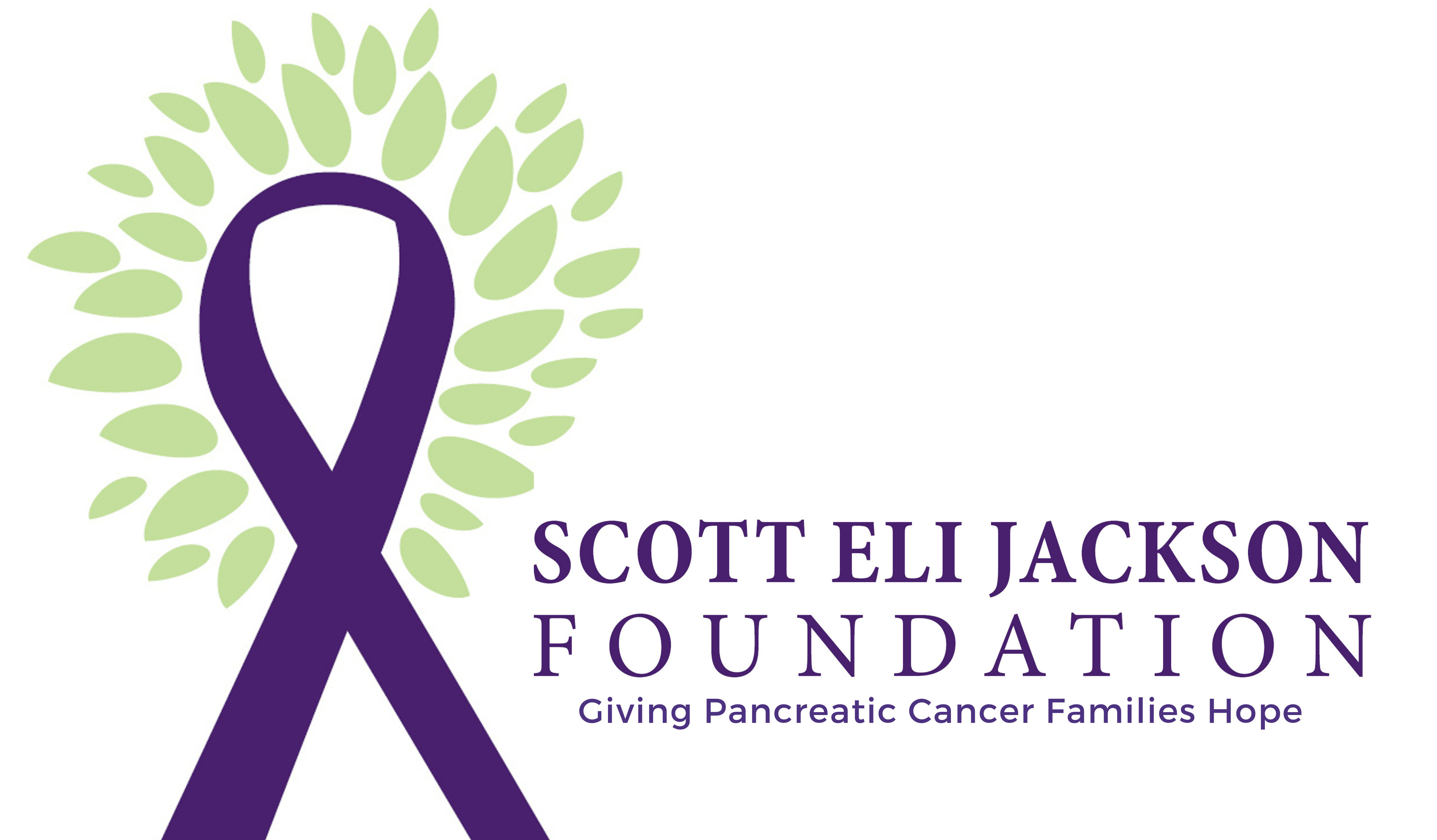 Scott Eli Jackson Foundation Inc