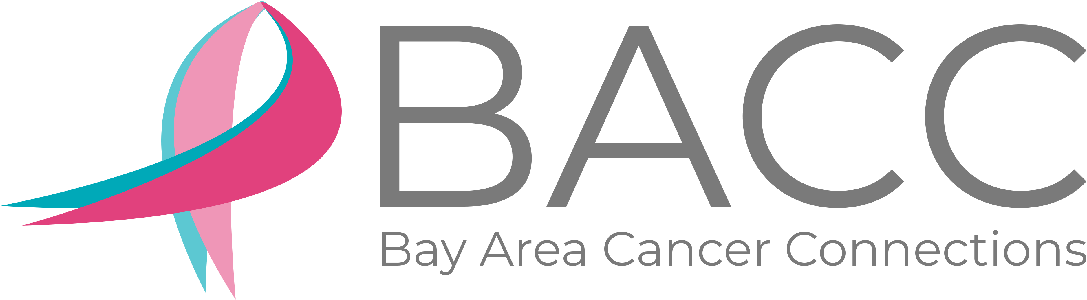 Bay Area Cancer Connections