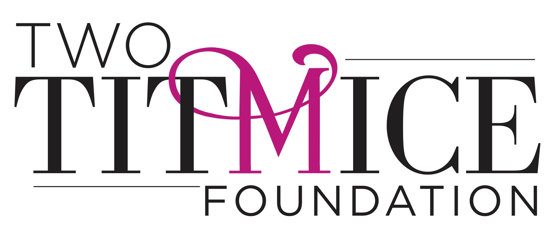 Two Titmice Foundation Inc