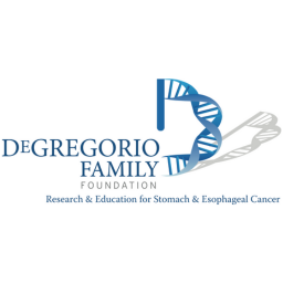 THE DEGREGORIO FAMILY FOUNDATION INC