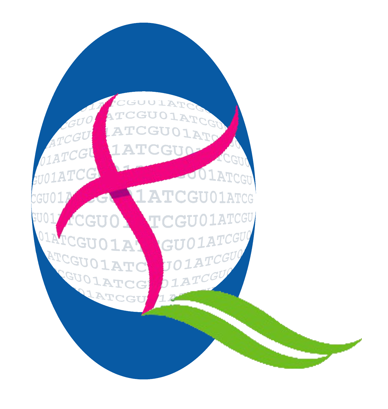 QUEROMATICS A NON-PROFIT ORGANIZATION