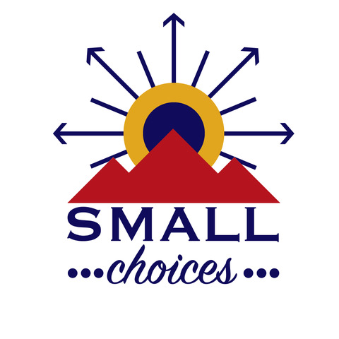 Small Choices Foundation