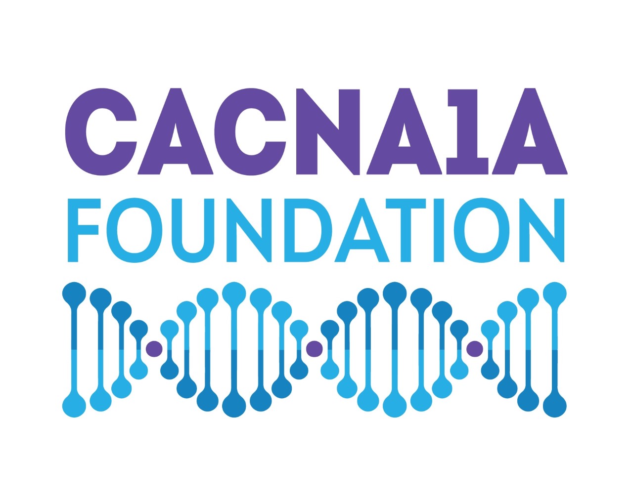 Cacna1a Foundation Inc