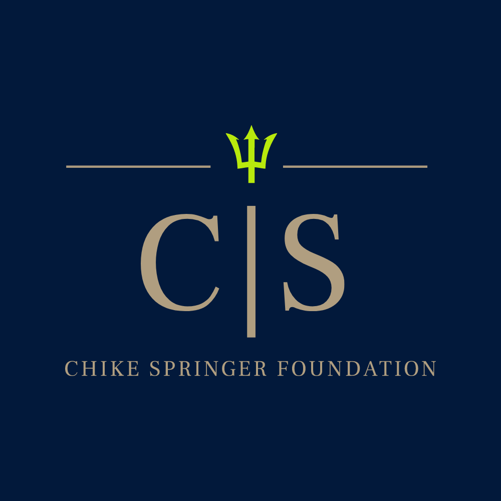 Chike Springer Foundation Inc