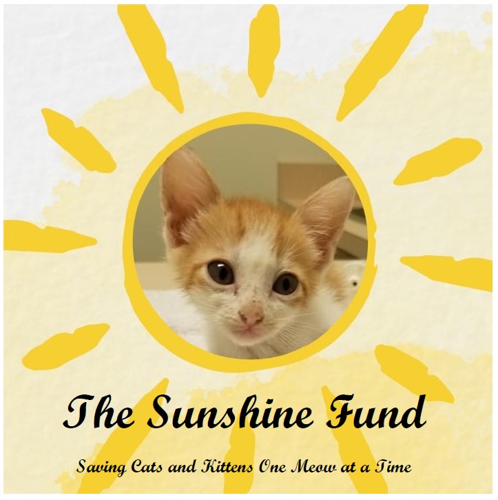 The Sunshine Fund Cat Rescue Inc
