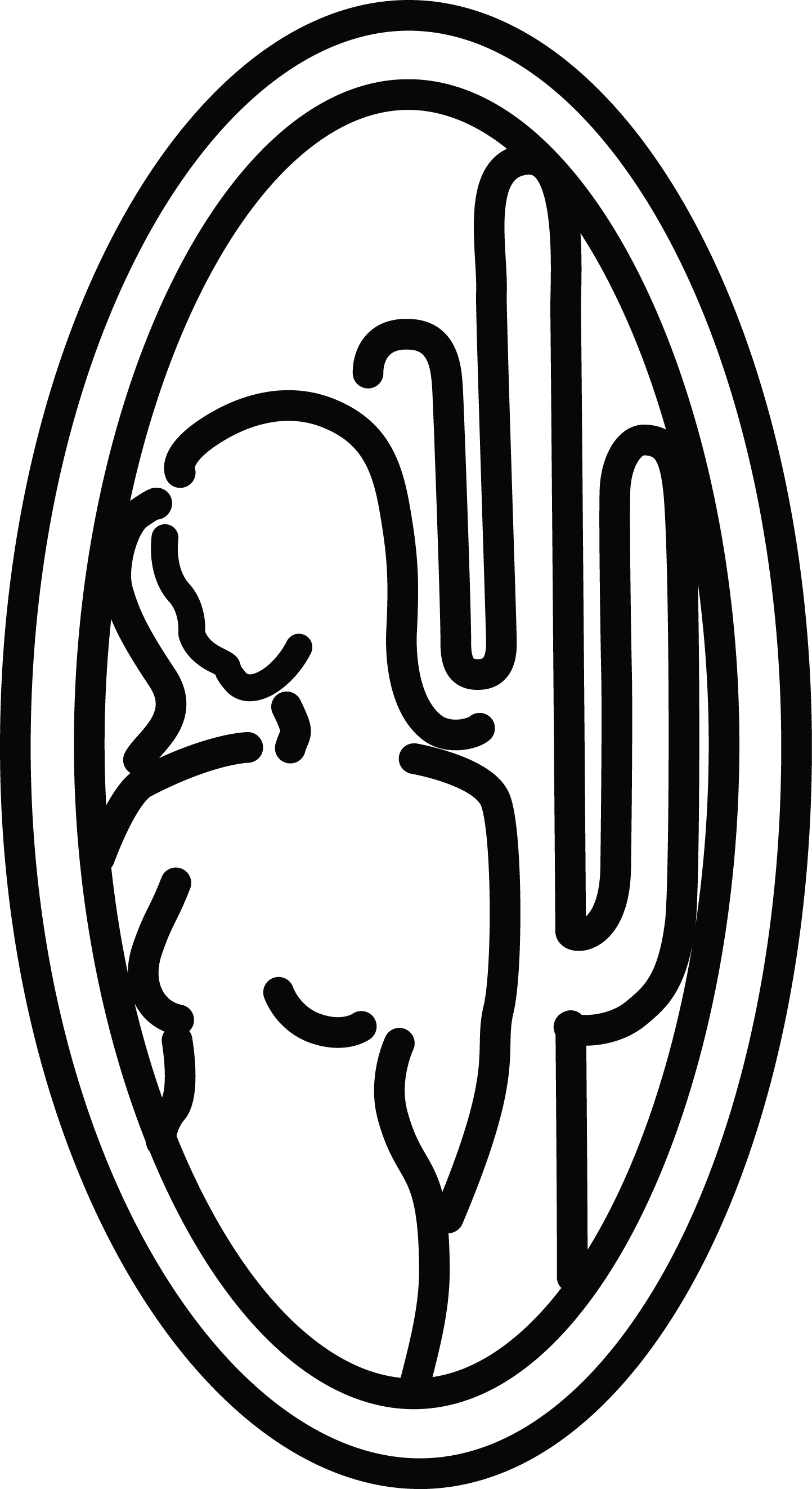 Desert Cancer Foundation Of Arizona Inc