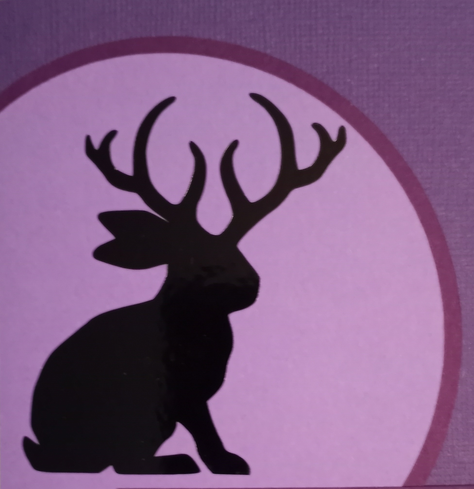 Dr Paul Reed Baltimore PHD Memorial Fund