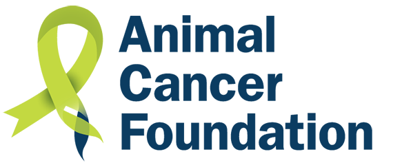 ANIMAL CANCER FOUNDATION