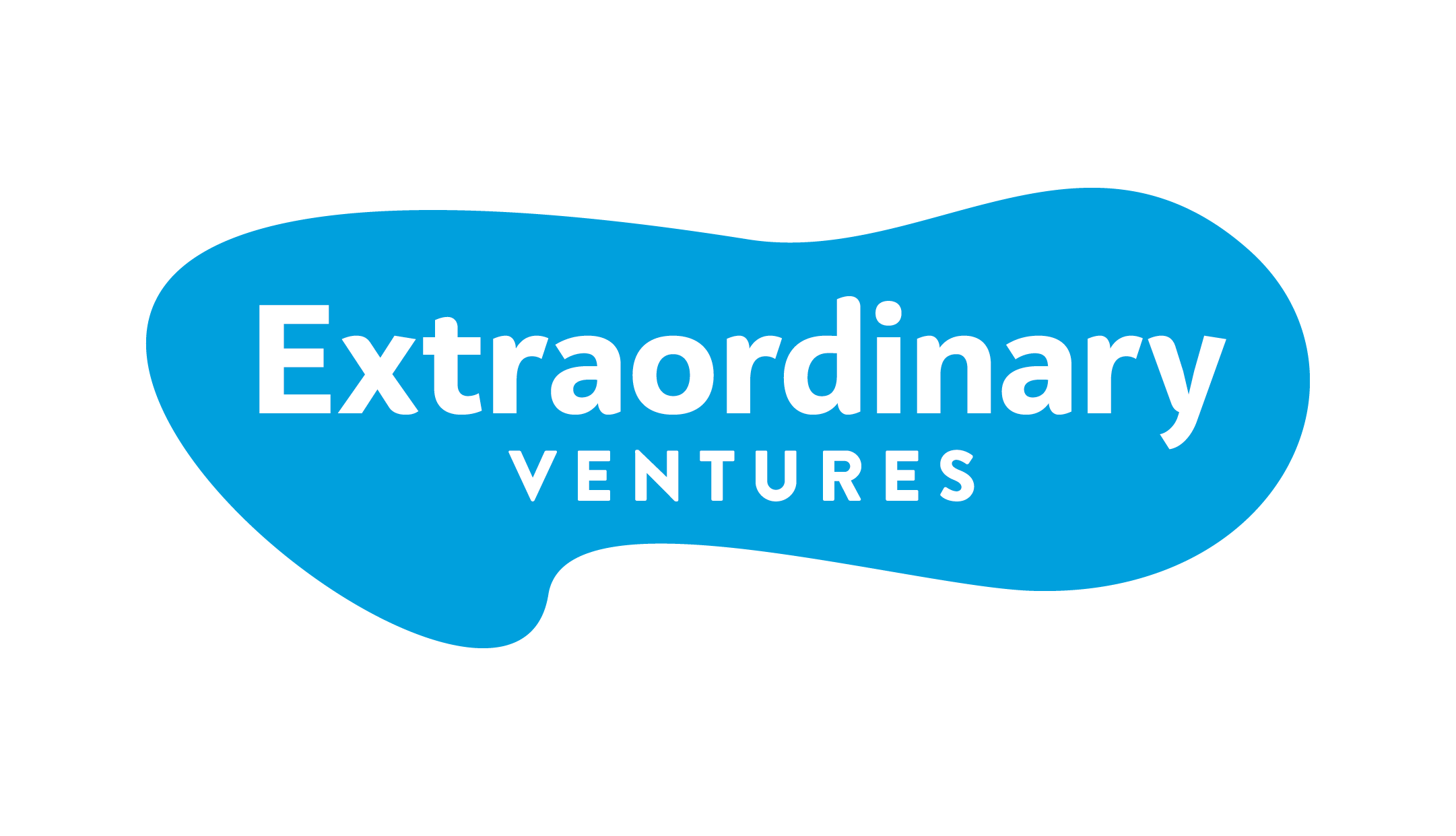 Extraordinary Ventures, Inc.