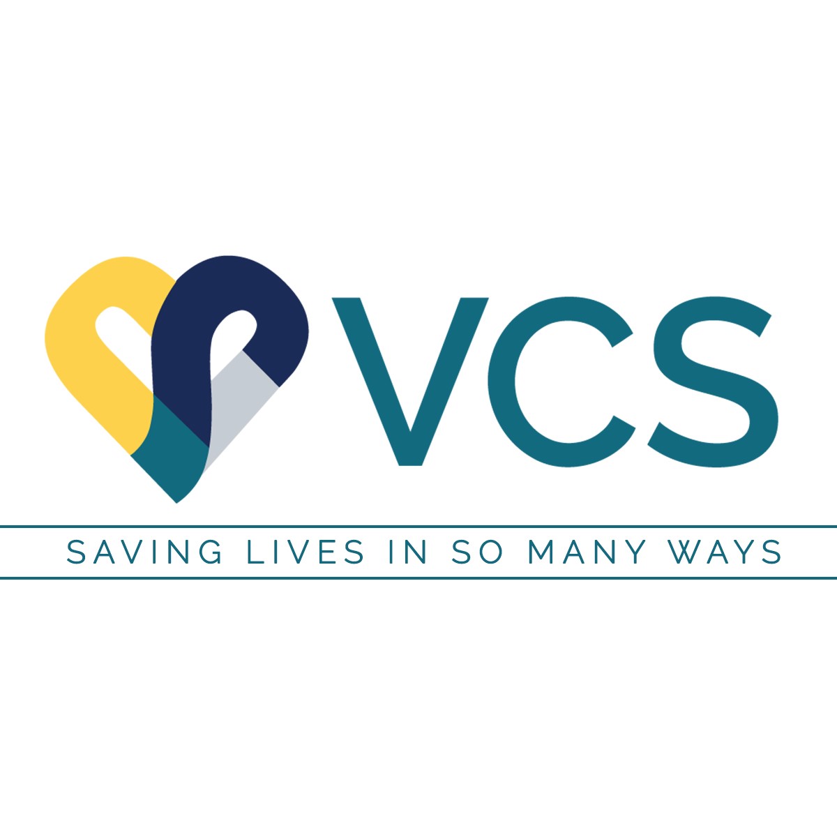 VCS Inc