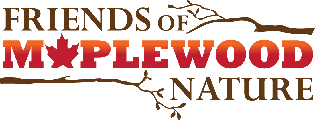 Friends of Maplewood Nature Center