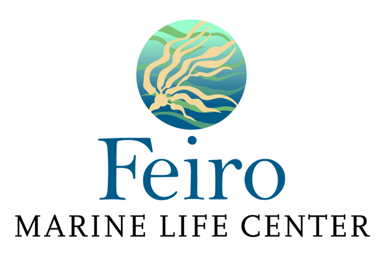 Feiro Marine Life Center