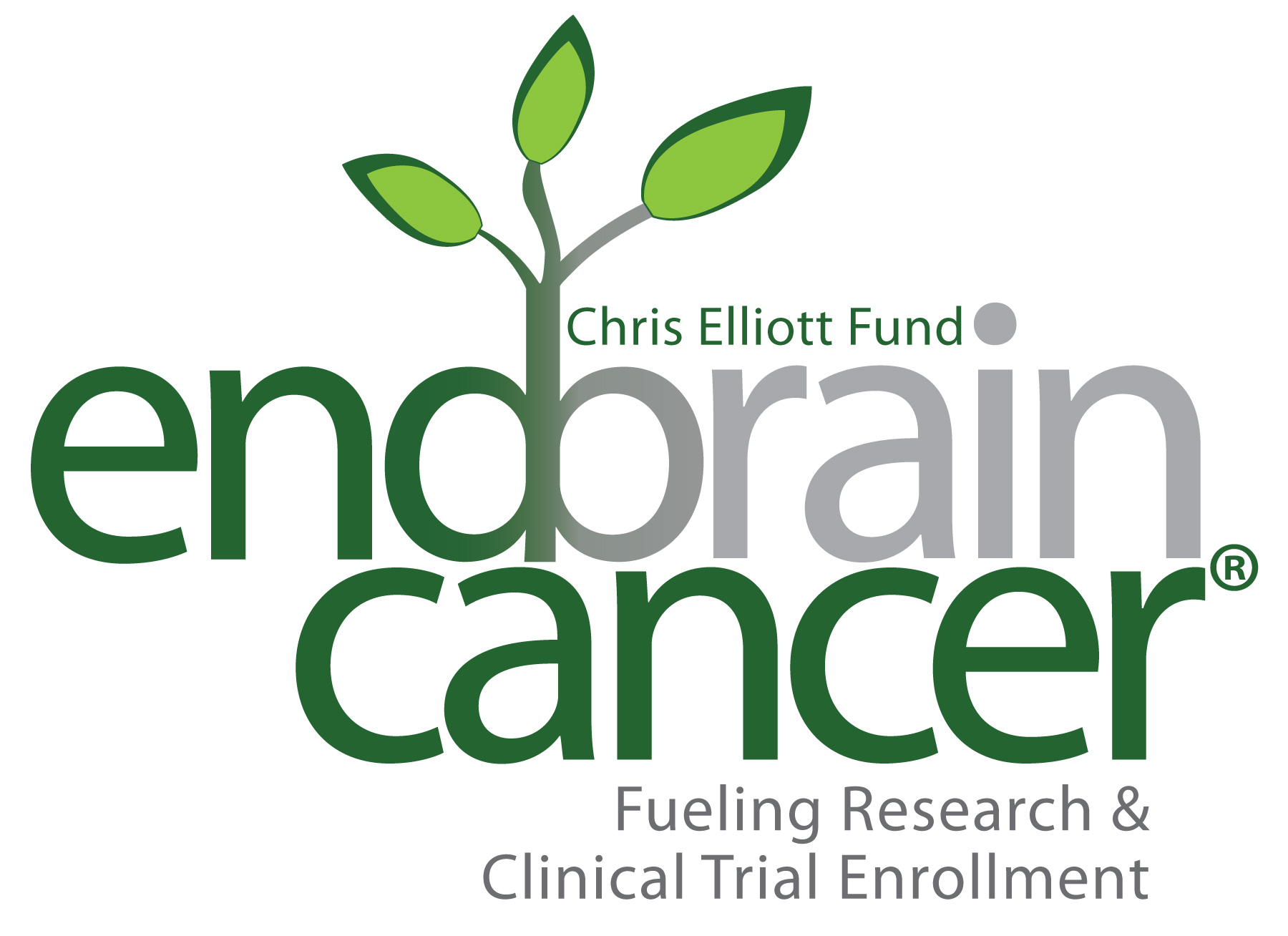 Chris Elliott Fund, dba EndBrainCancer Initiative