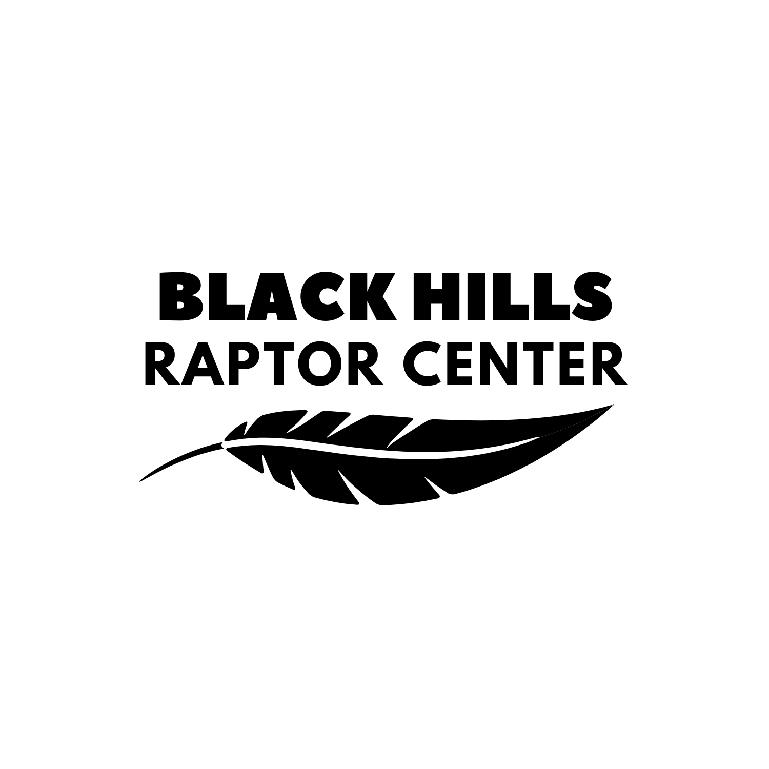 BLACK HILLS RAPTOR CENTER