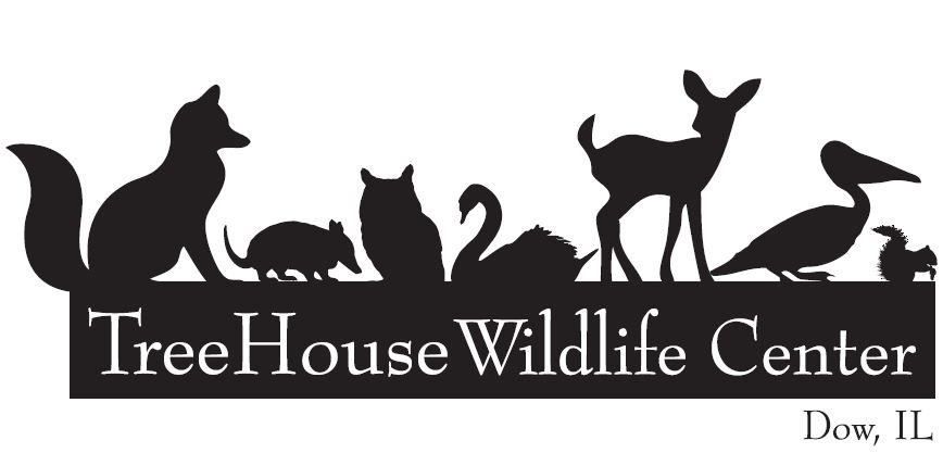 Treehouse Wildlife Center Inc