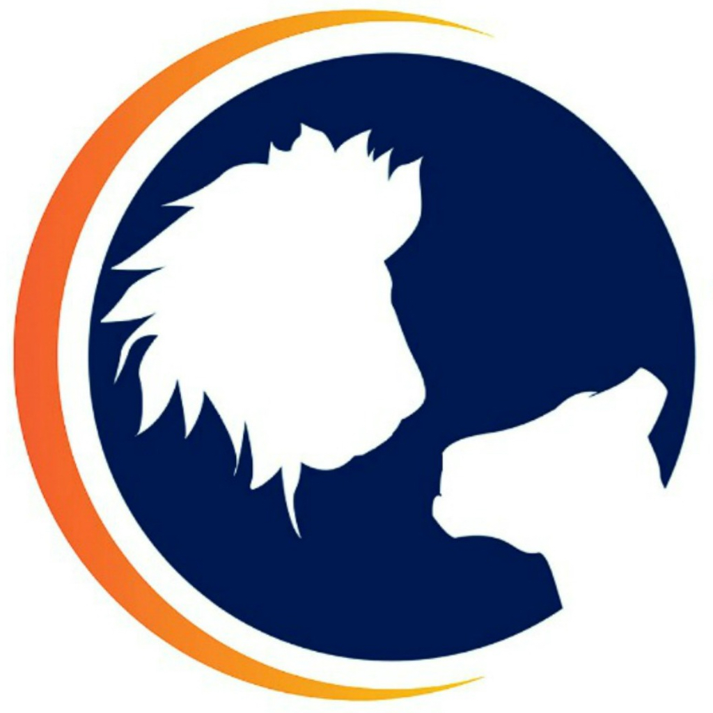 ASLAN PROJECT INC