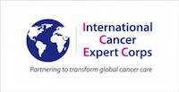 INTERNATIONAL CANCER EXPERT CORPS INC