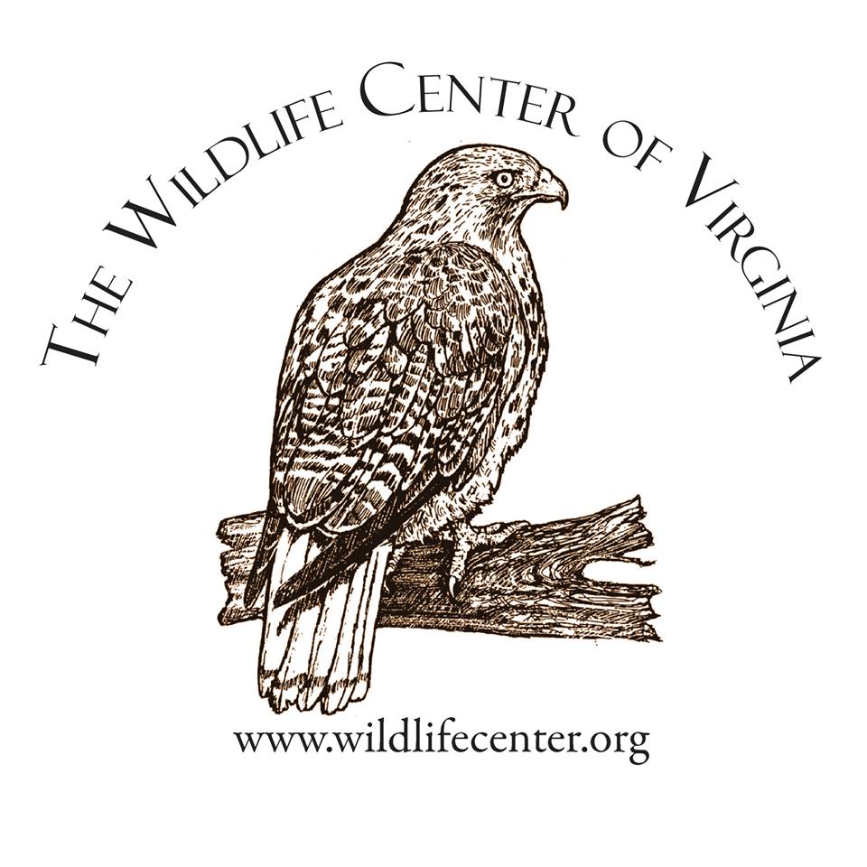 WILDLIFE CENTER OF VIRGINIA