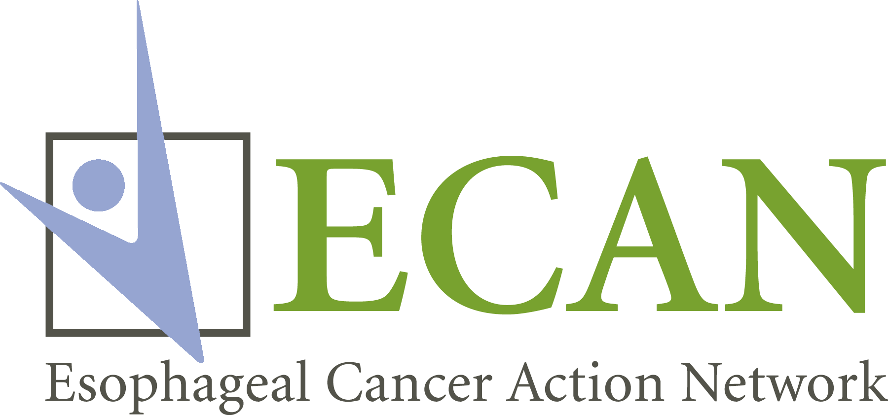 Esophageal Cancer Action Network Inc