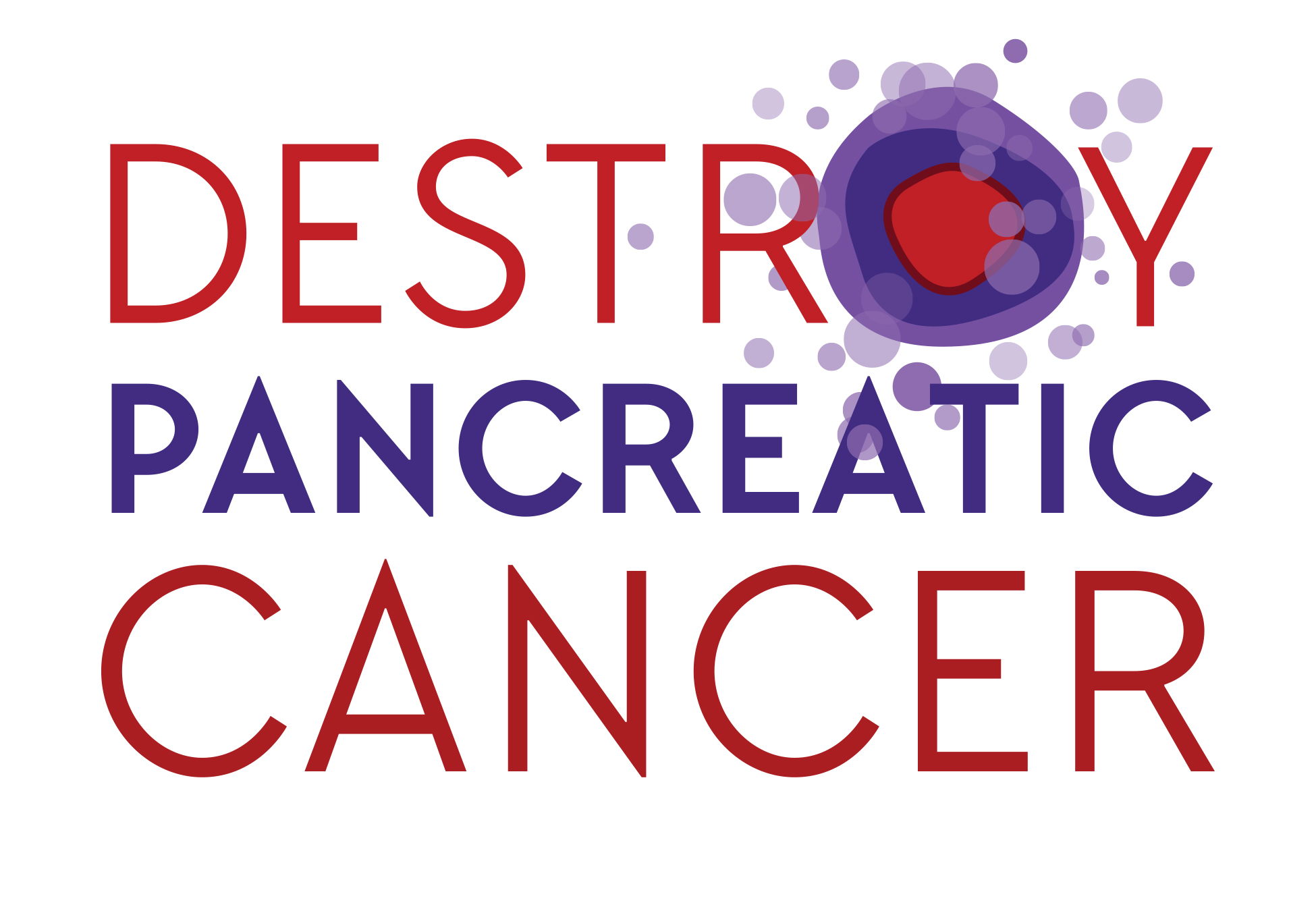 Destroy Pancreatic Cancer Research and Care Foundation Inc