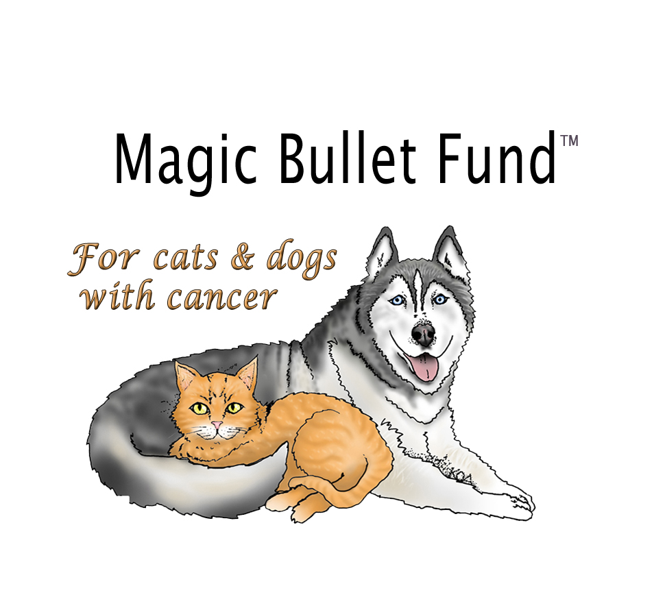 Magic Bullet Fund Inc