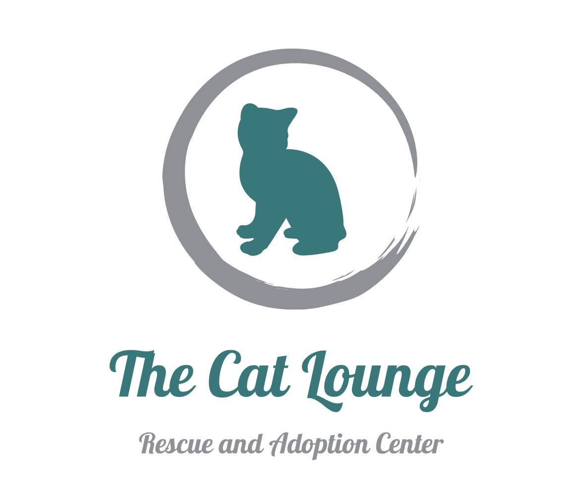 Cat Lounge Rescue and Adoption Center