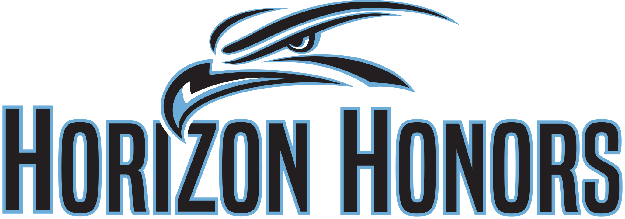 HORIZON COMMUNITY LEARNING CENTER INC